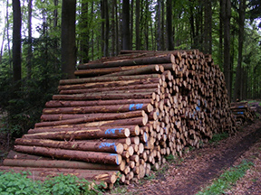 Referenzen - Forstbetrieb-Radermacher
