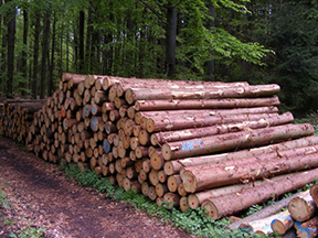 Referenzen - Forstbetrieb-Radermacher